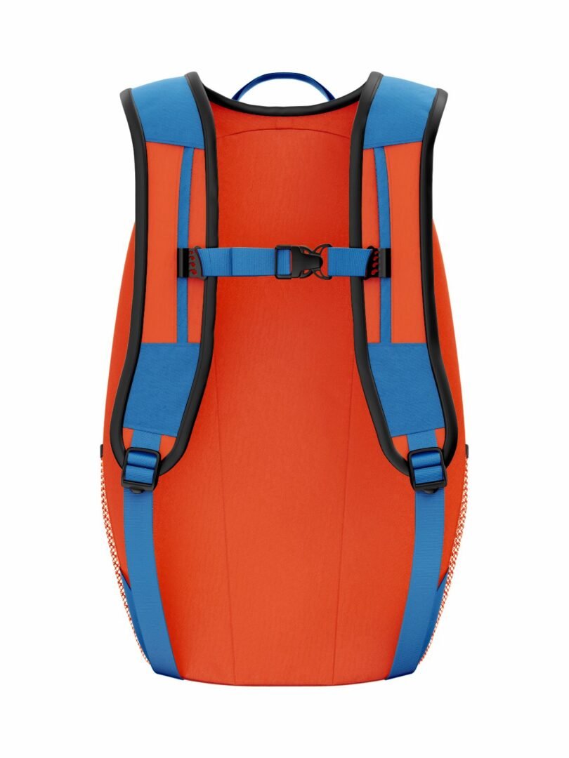 Backpack - Image 2