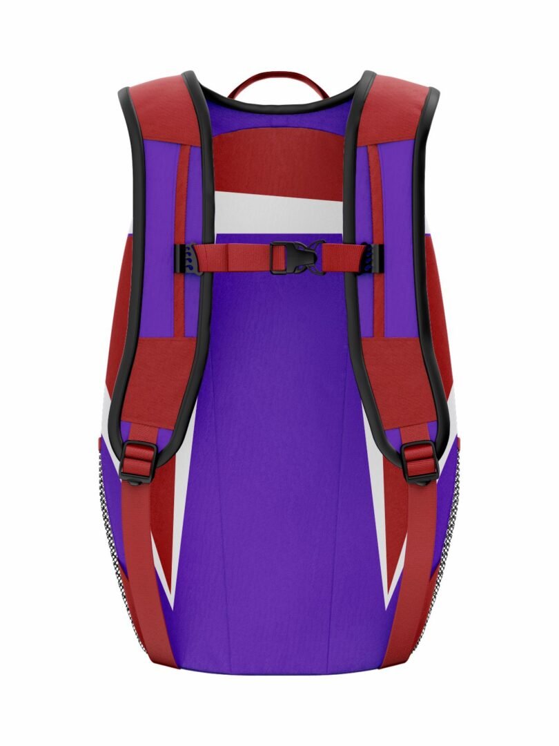Backpack - Image 2