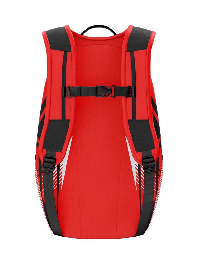 Backpack - Image 2