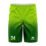 green-warrior-basketballshorts